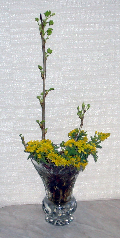 Год пятерок