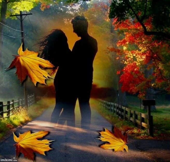 Мы встретились в туманном сентябре