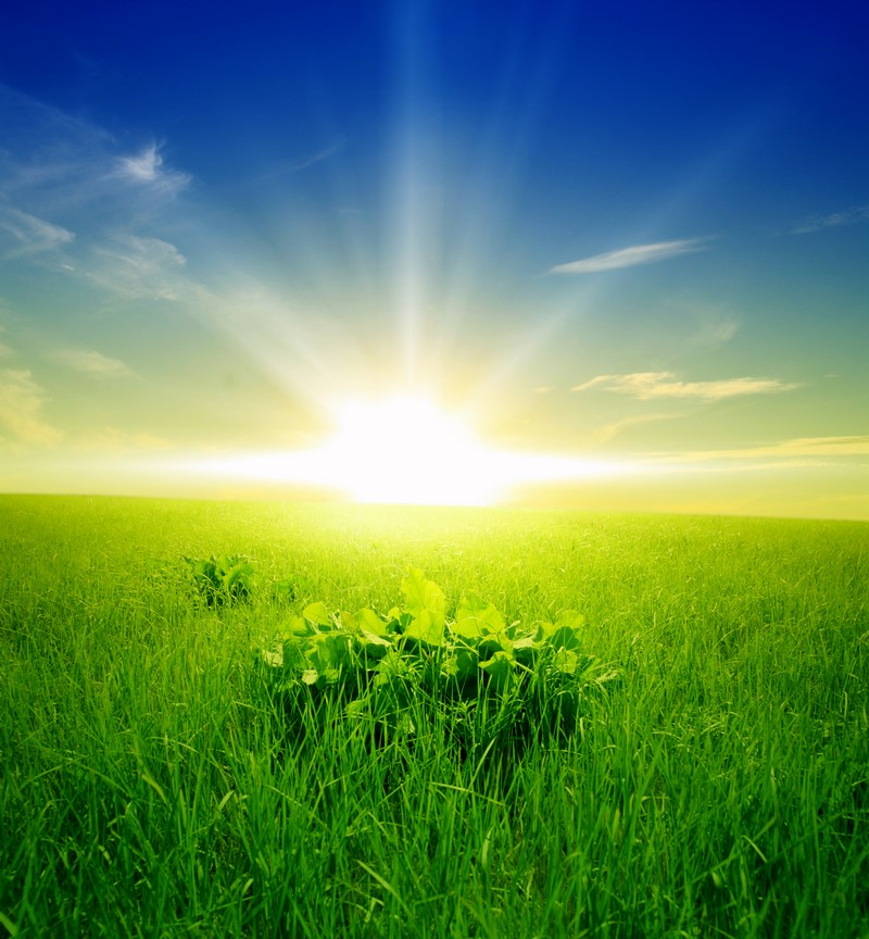 Мне никто не звонит...