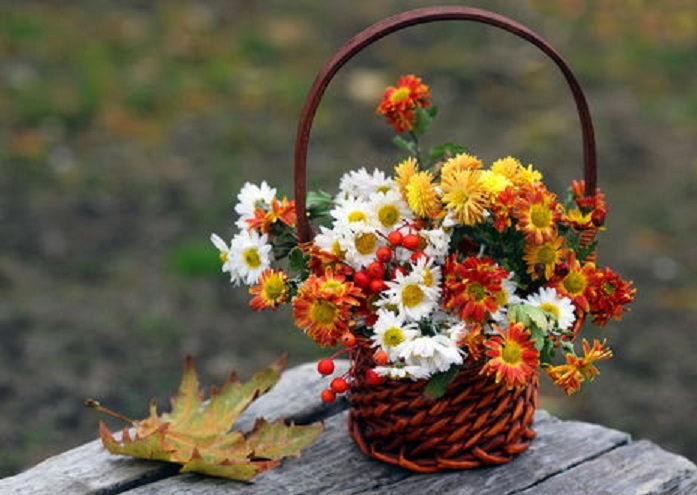 Сердечная подруга