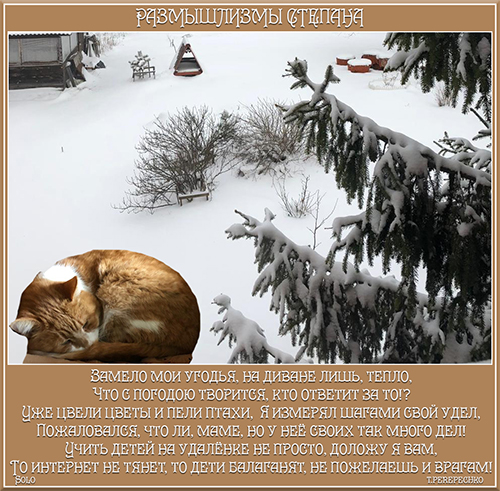 Размышлизмы Степана