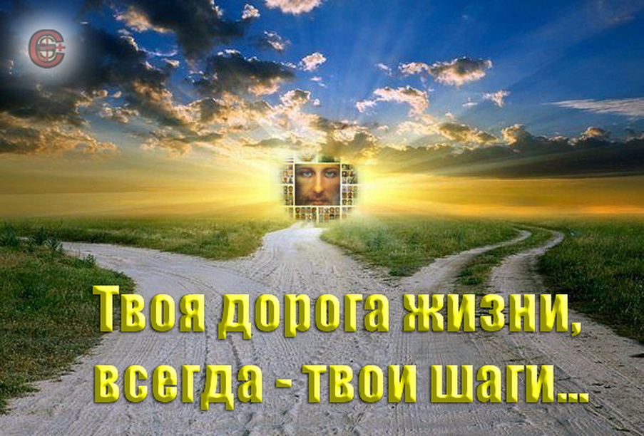 пожелания на дорогу мужчине. твоя дорога стихи. стишок про дорогу. стишки про дорогу. каждый выбирает свою дорогу.