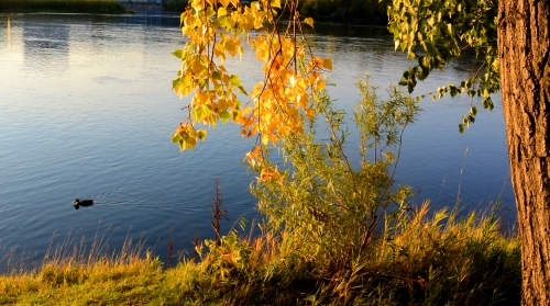 Вера. надежда. любовь. -