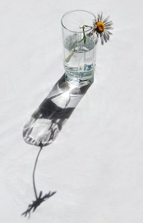 Два гранёных стакана