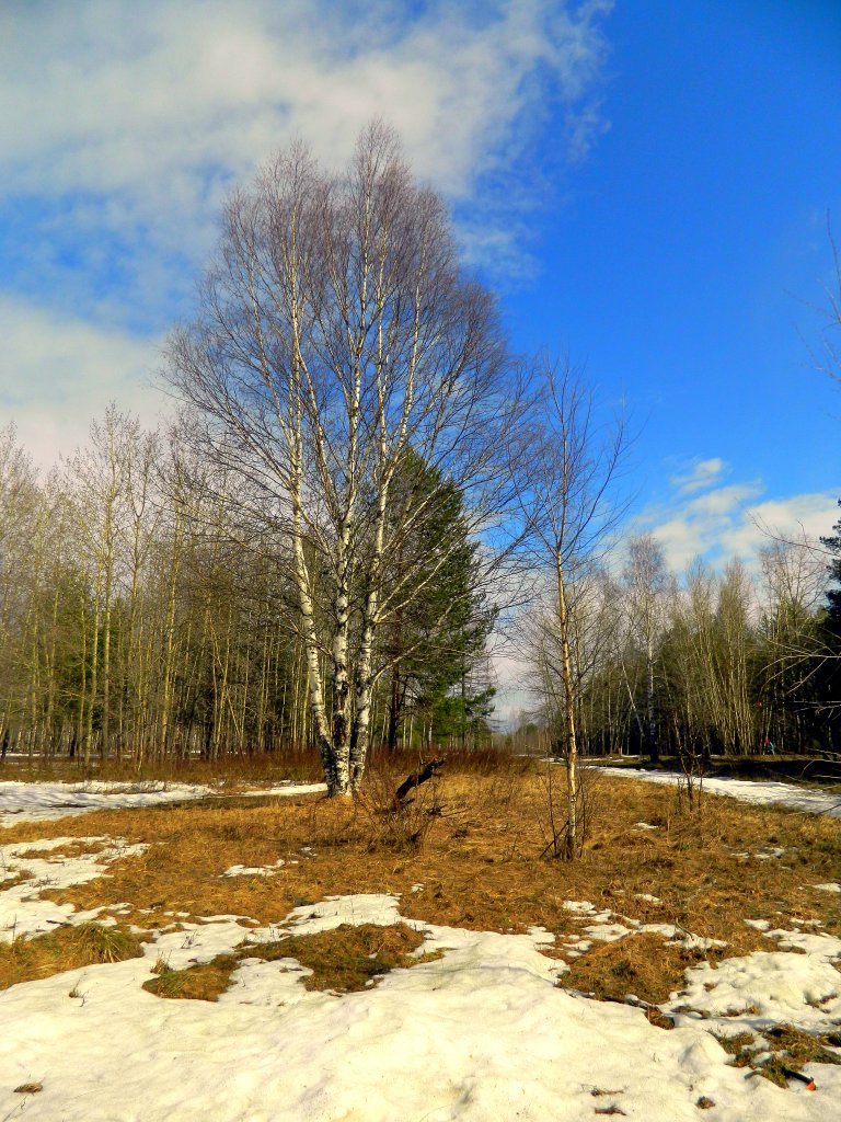 Ранняя весна