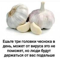 Анекдоты апрельские