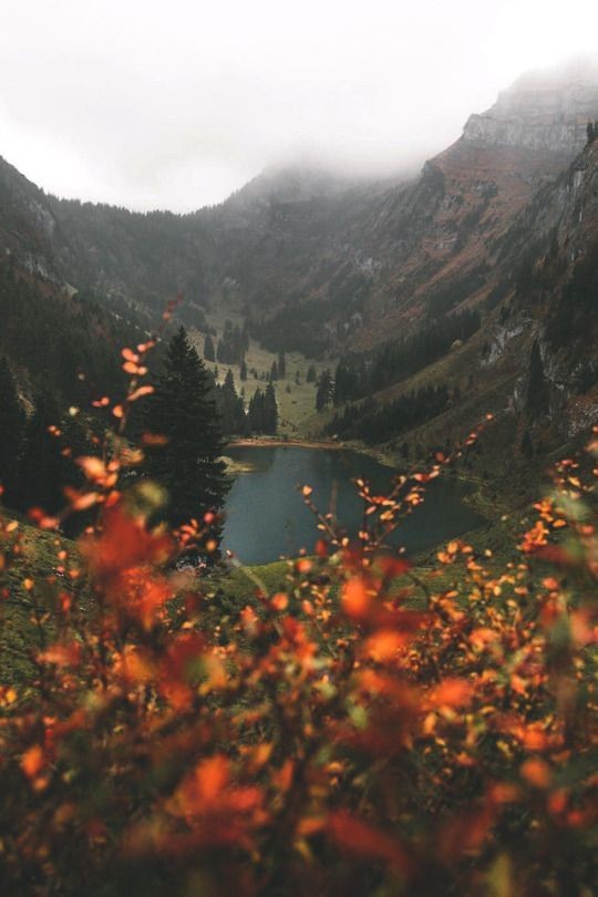 Грусти по мне