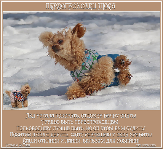 Первопроходец Люся