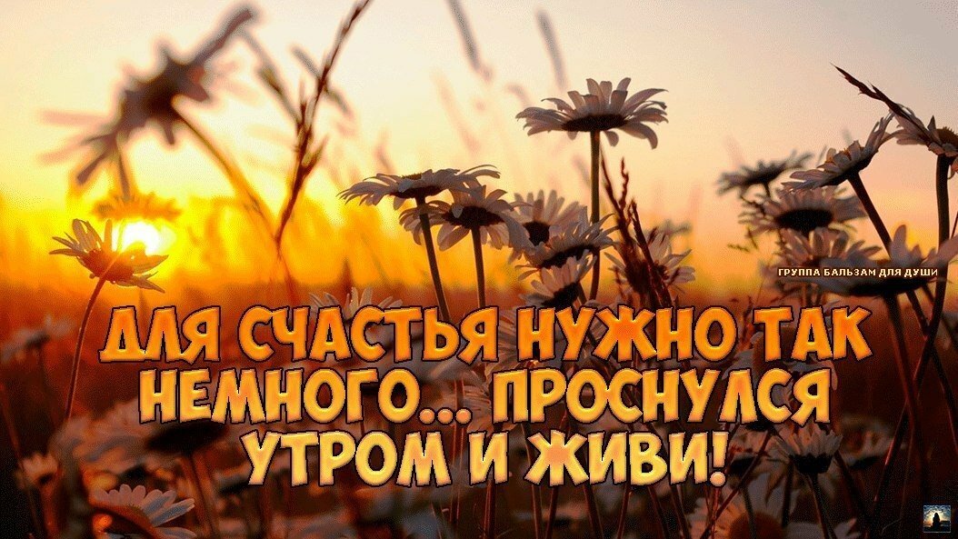 Что для счастья надо человеку. И нам так нужен этот. Цитаты про счастье. Нужны стихи. Проснулся и живи.