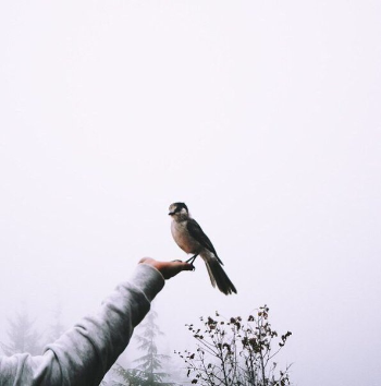 Люди, не бойтесь!