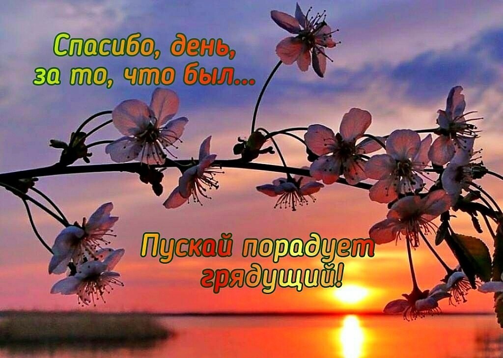 Привиты - для Любви!