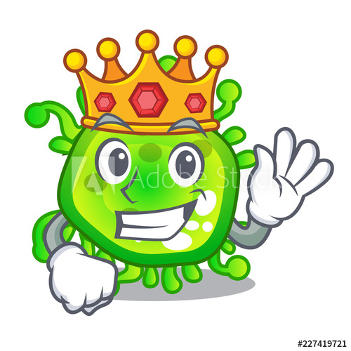 Коронавирусный спрут