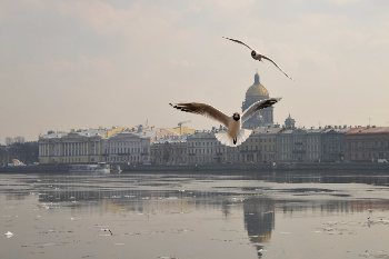 Апрель уже вошел в преполовенье