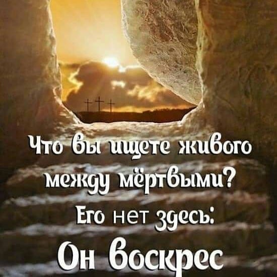 Мы будем жить!