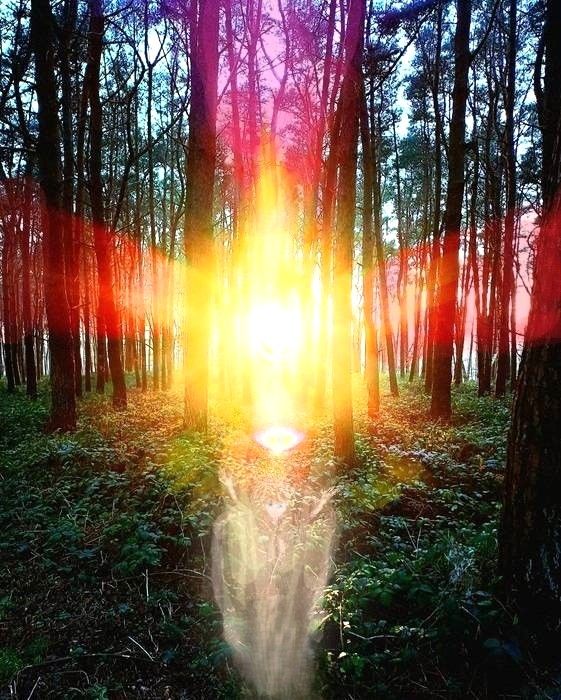 С воскресеньем Иисуса - с Весной!