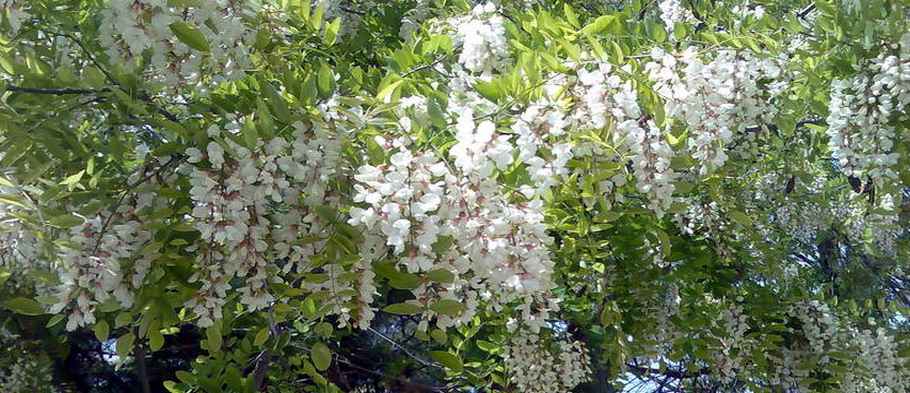 Закружила белая метель