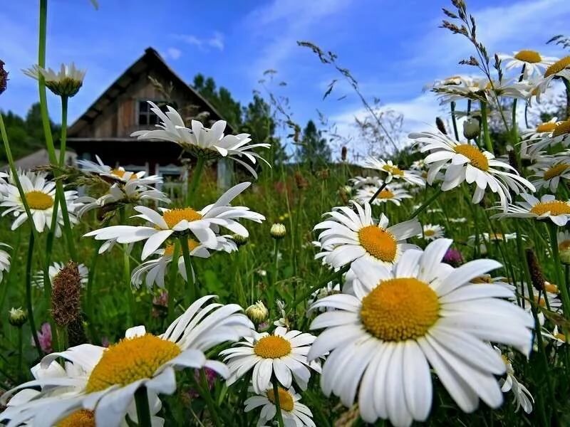 Я не забуду