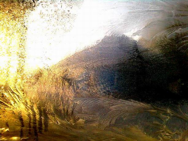 Без глупости земля была бы раем