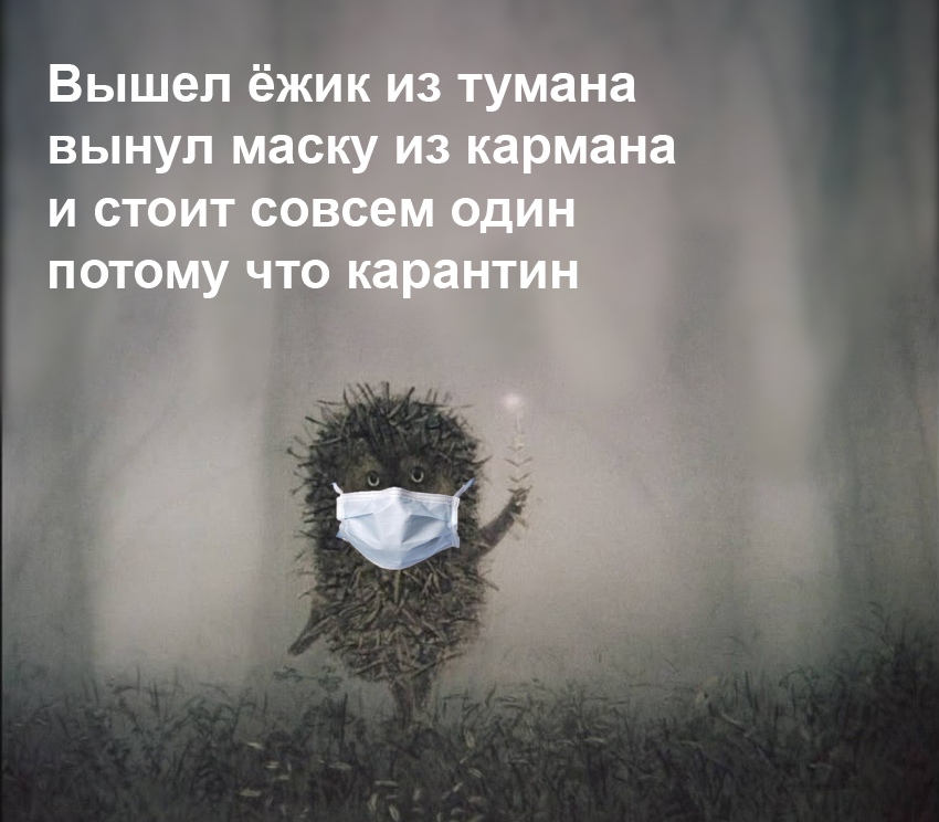 Карантинное