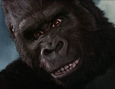 Долгожданный сеанс