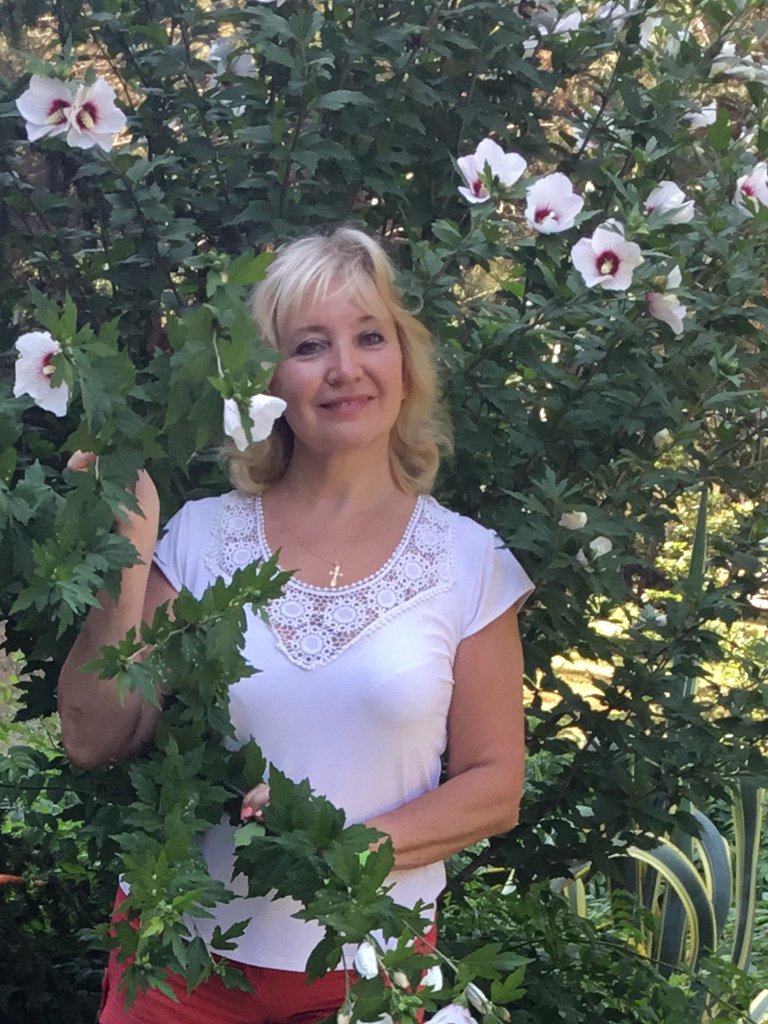 Не откажусь. Посвящение С. Т. 6128