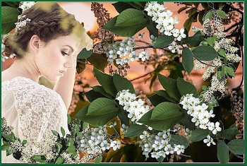 Вознаградится ожиданье