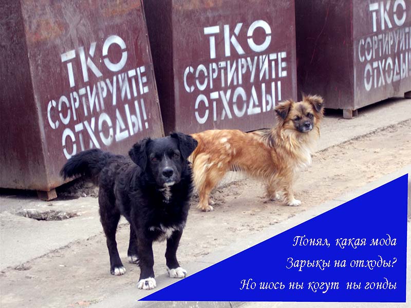 Дивна из Дивинка матк