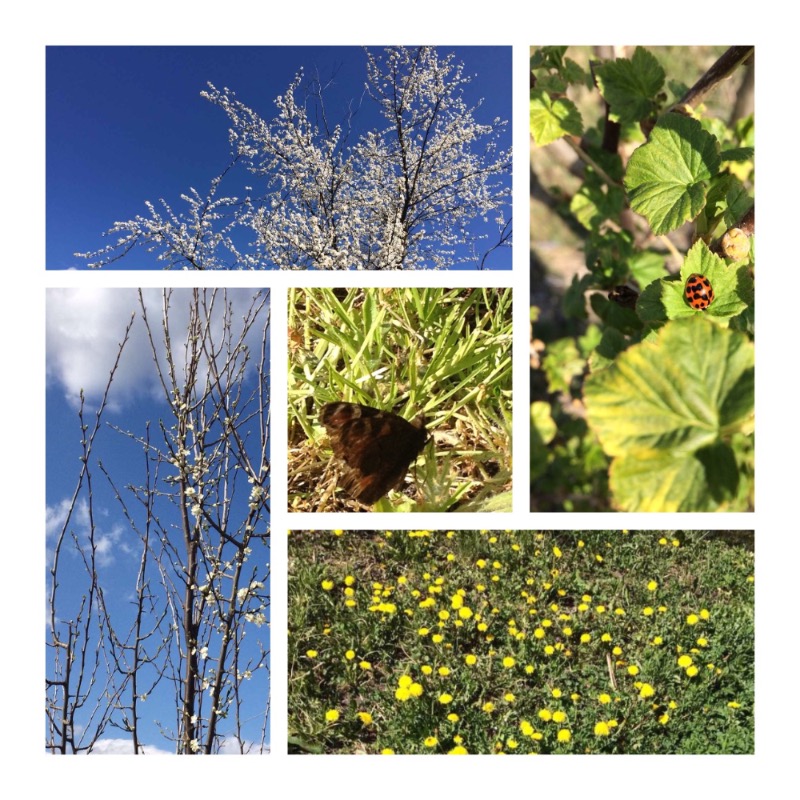 Как облака...