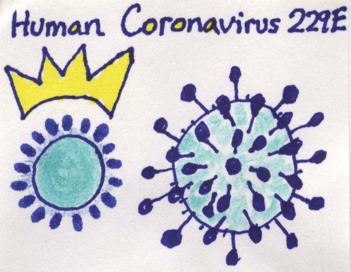 Хорошего дня коронавирус