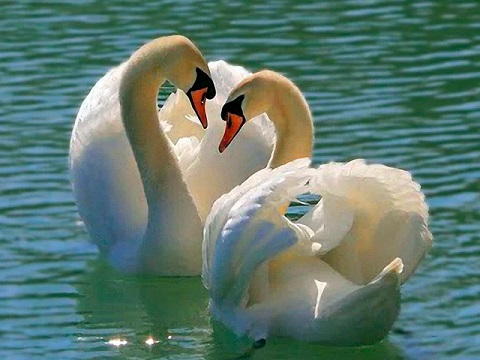 Молчи, мой друг