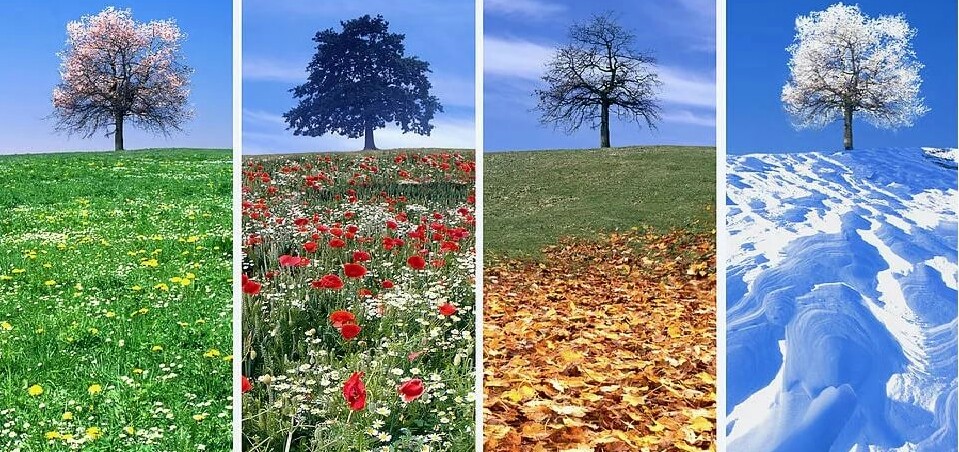 321. В самоизоляции