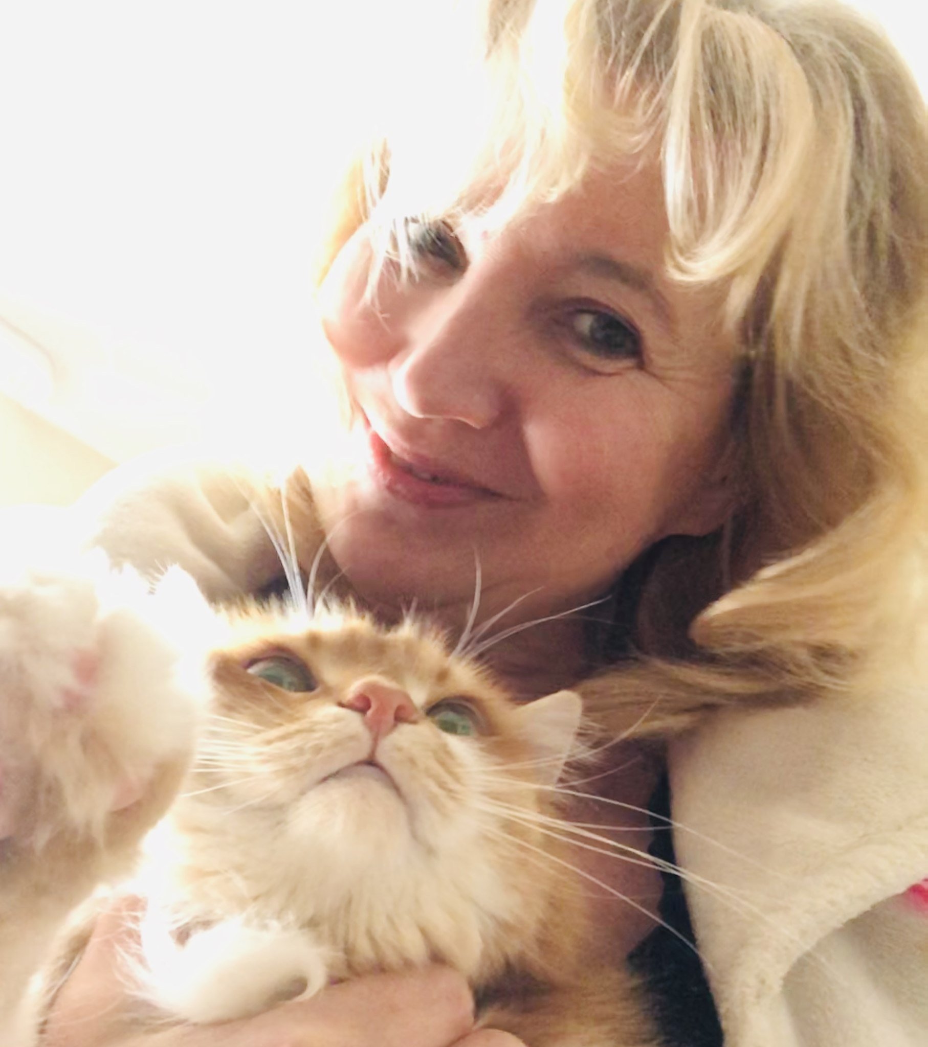 Ты и Кот. Посвящение С. Т. 6200