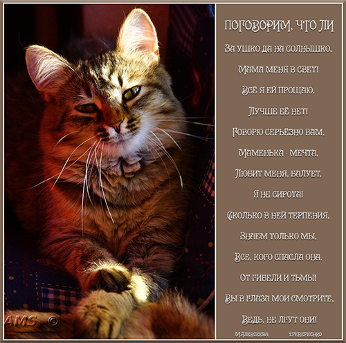 Поговорим, что ли