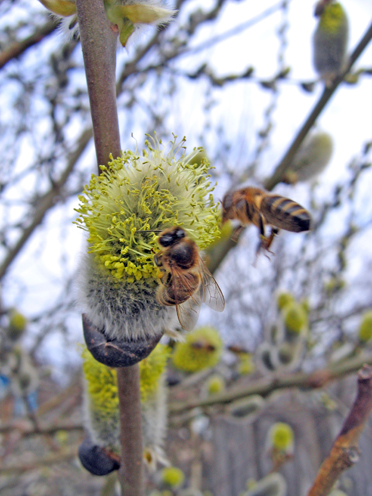 В ожидании разлива чувств