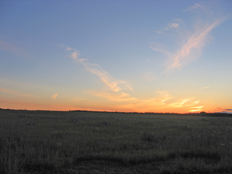 Только ты нужна мне в этом мире!