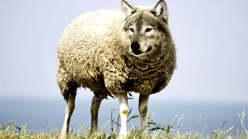 Маленький принц