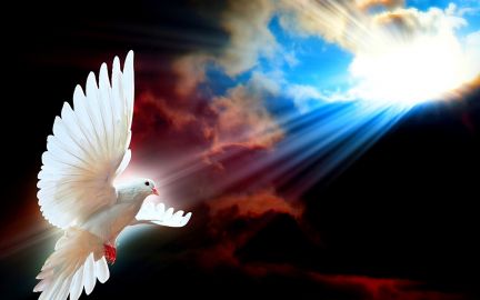 Голуби Мира Летите