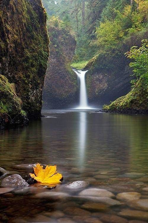 Моя душа - гнилое решето