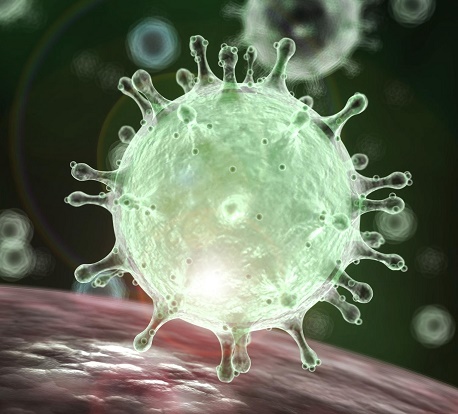 Горе от ума... СтихиПротивВируса