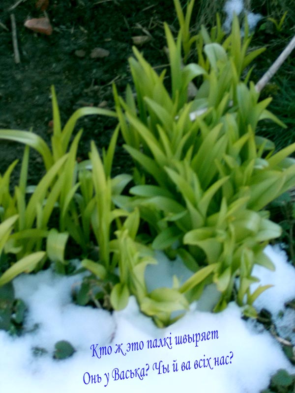 ОМ! Бхур Тат Савитур!