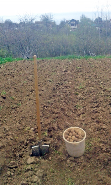 Радость с лопатой