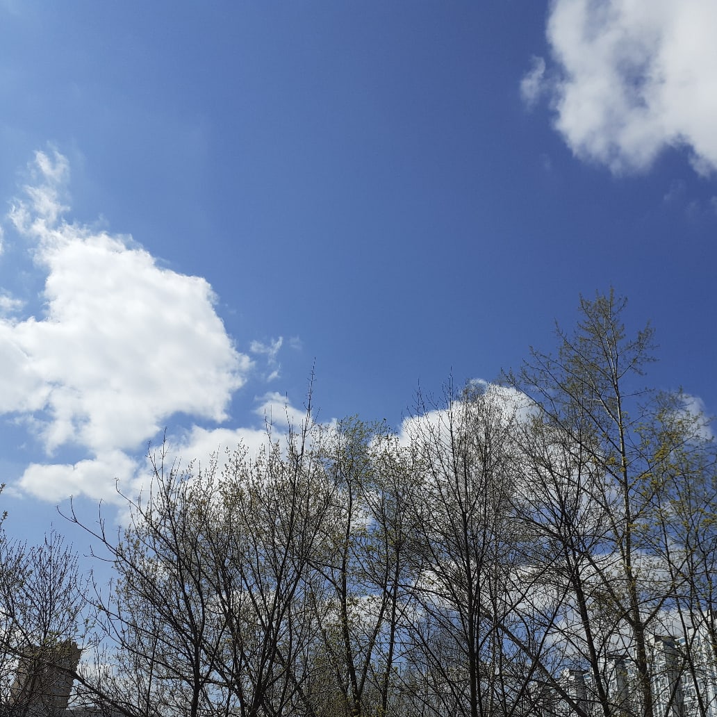 Небо окрашено дивной лазурью