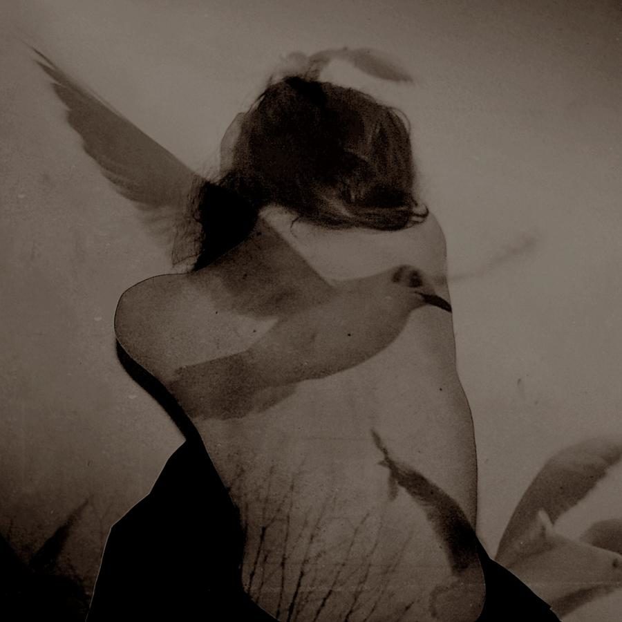 Всё пропускаю сквозь себя