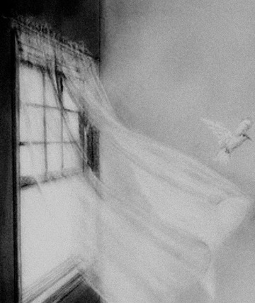 Ложись, усталая, глаза сомкни