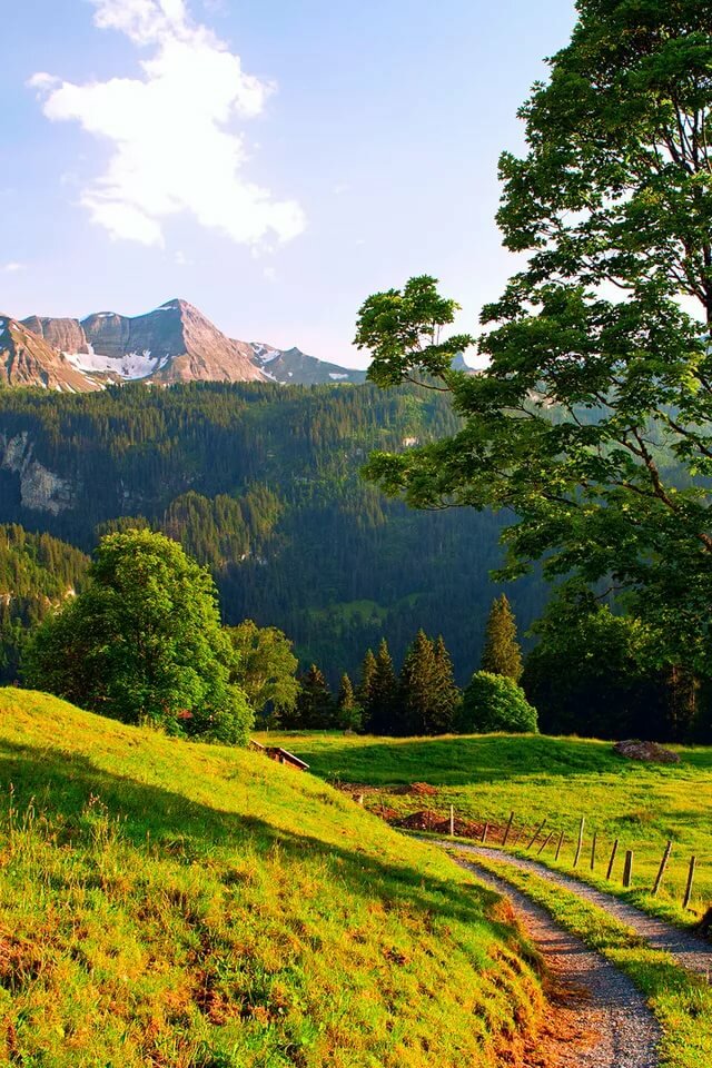 Природная лирика