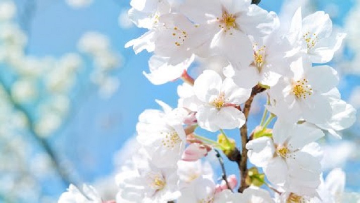 В новый день смотрю я смело!