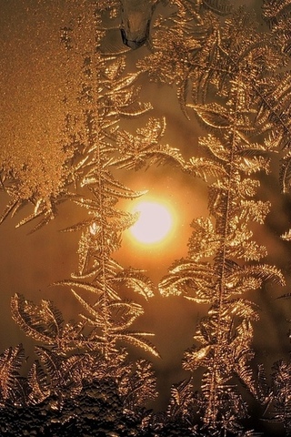 С январским поцелуем!