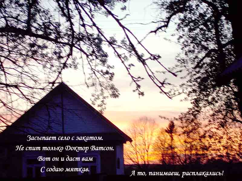 Я ж киви сётут да жру