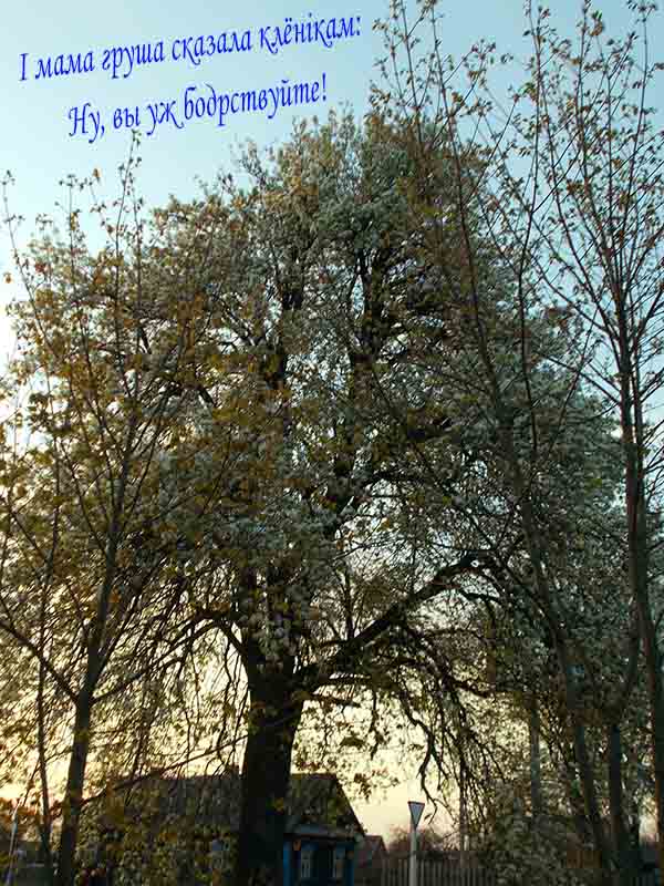 А мы сирии во как разбомбима!