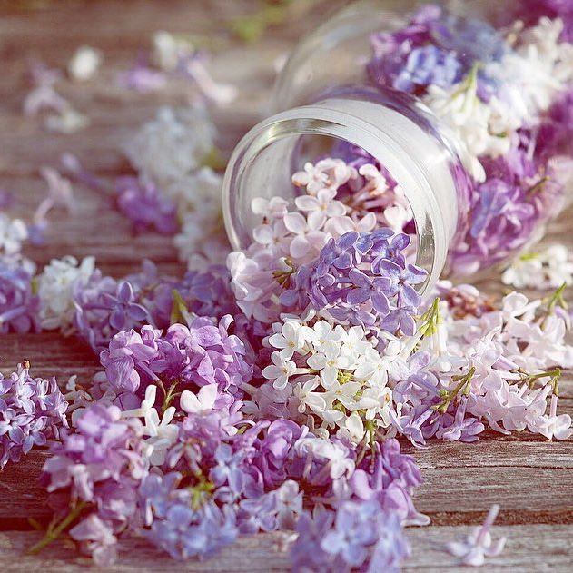 Майские метаморфозы